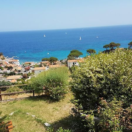Hotel Gallo Nero SantʼAndrea Exteriör bild