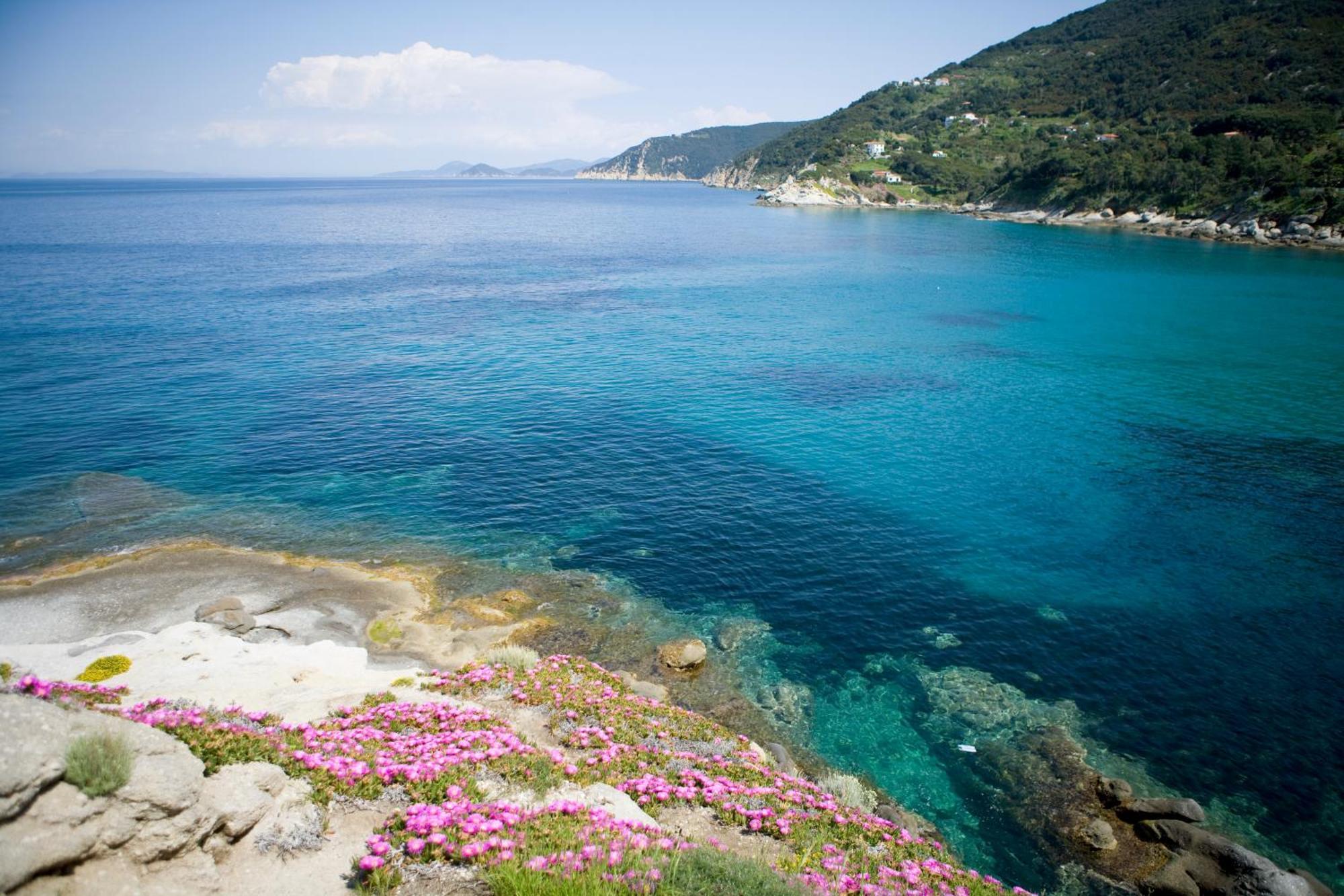 Hotel Gallo Nero SantʼAndrea Exteriör bild
