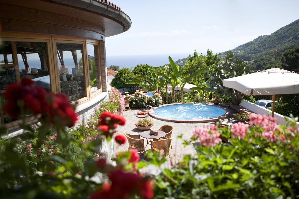 Hotel Gallo Nero SantʼAndrea Exteriör bild