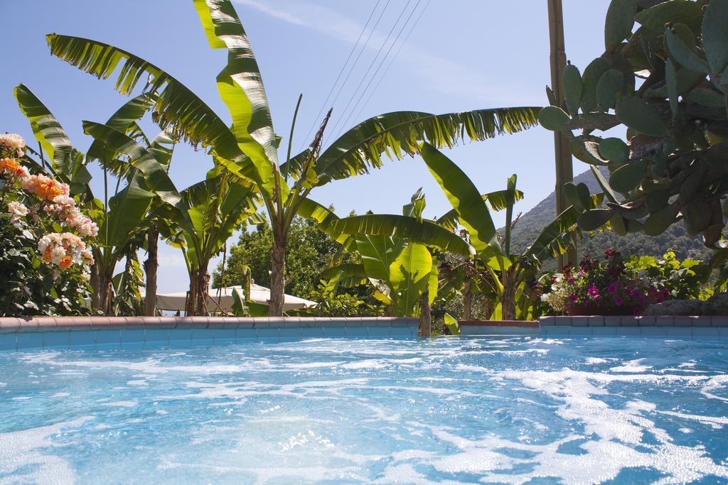 Hotel Gallo Nero SantʼAndrea Exteriör bild